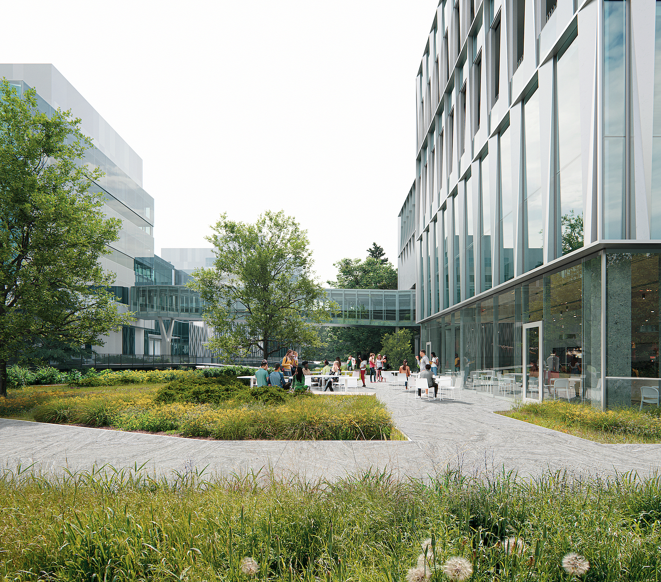 Artist rendering of two modern buildings connected by a glass pedestrian bridge with trees and grass and people