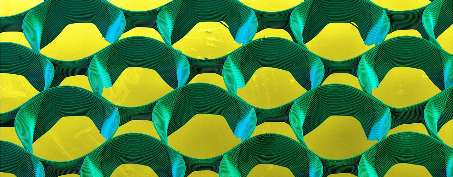 Cell Spheroid scientific image of micro-3d printed structure in yellow and green colors