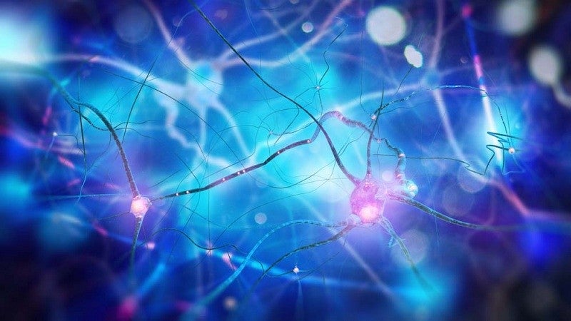 Neurons