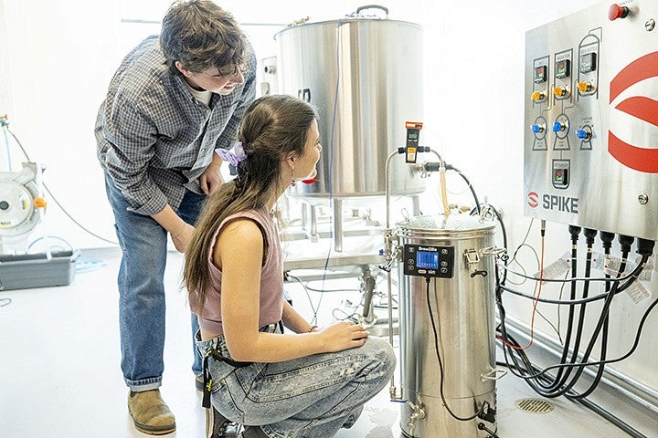 Brewing Innovation students