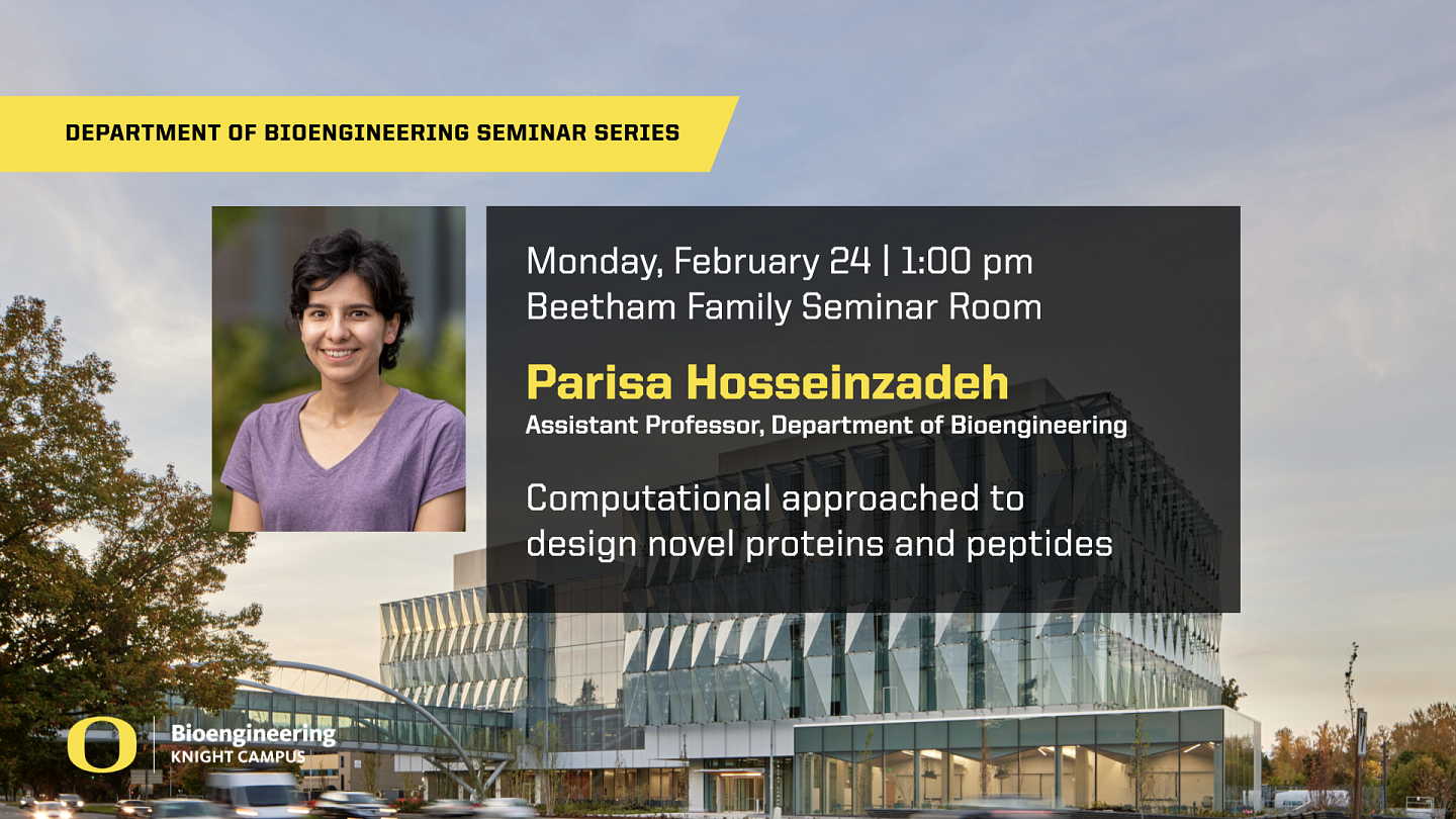 Slide advertising talk by Parisa Hosseinzadeh