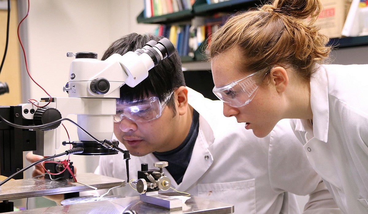 KCGIP students working in lab