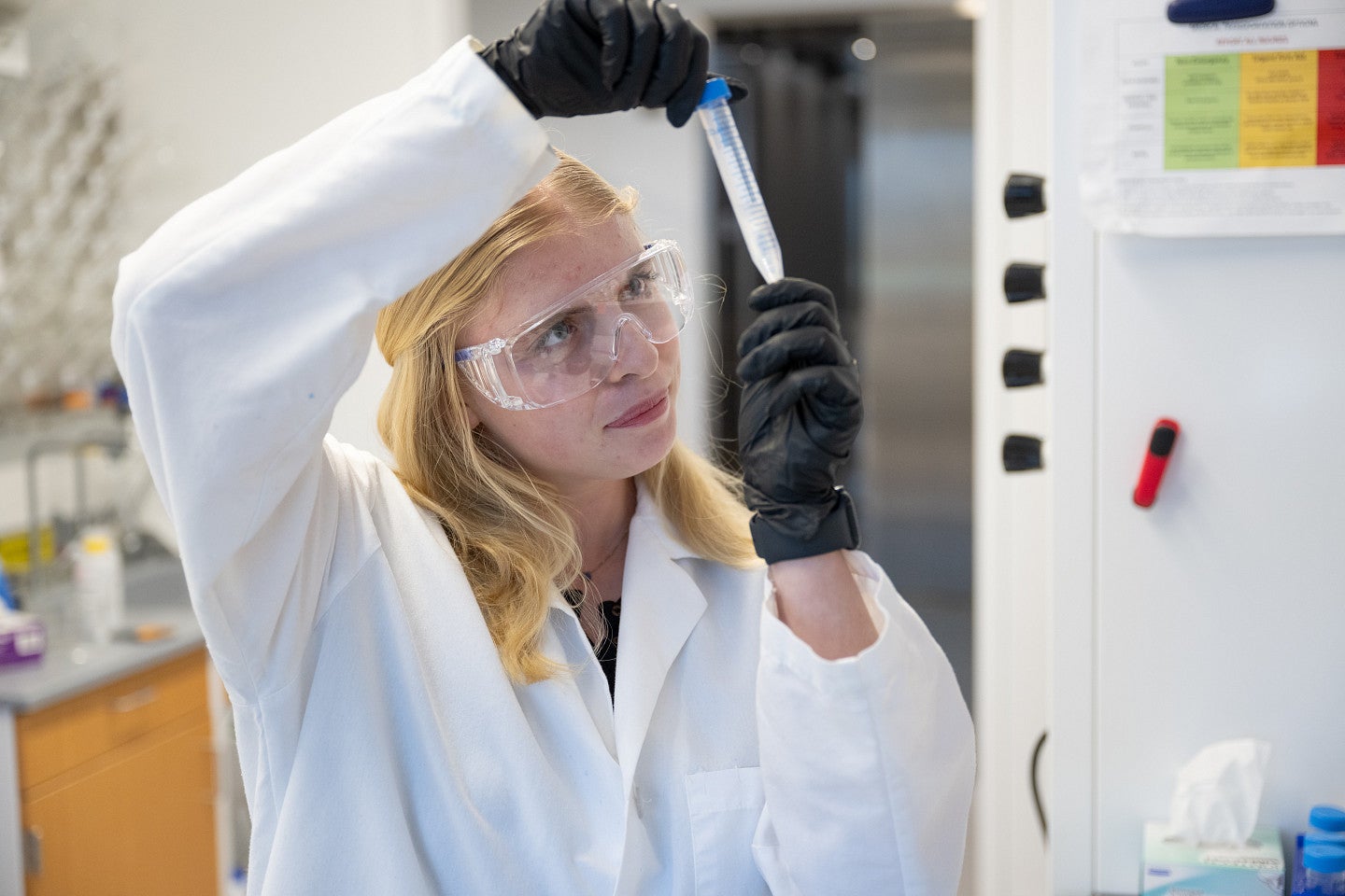 Research Experiences for Undergraduates (REU) program