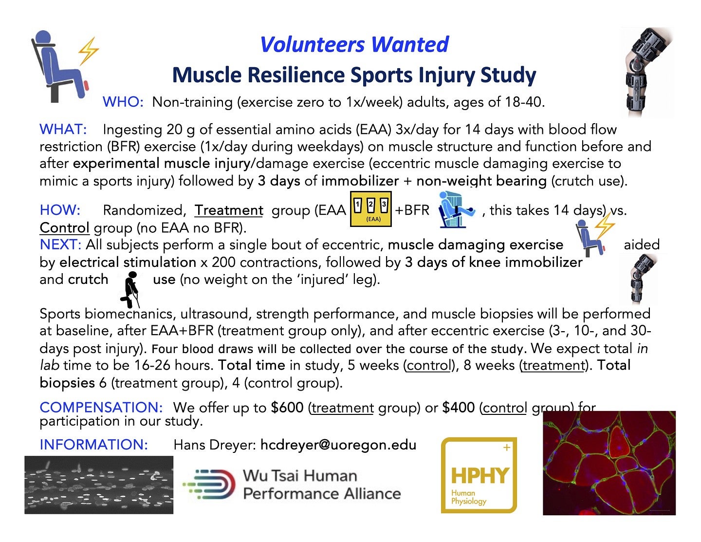 muscle resilience sports injury study volunteers wanted flyer