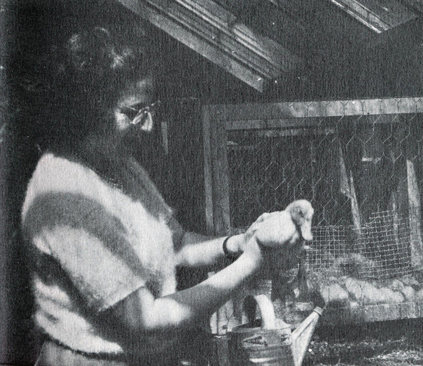 black and white image of a woman, Hildegard Lamfrom, holding a duck in her hands