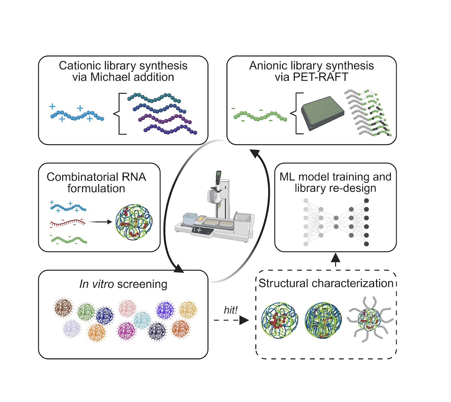 figure showing molecular screening, and experimental design for the Peeler lab