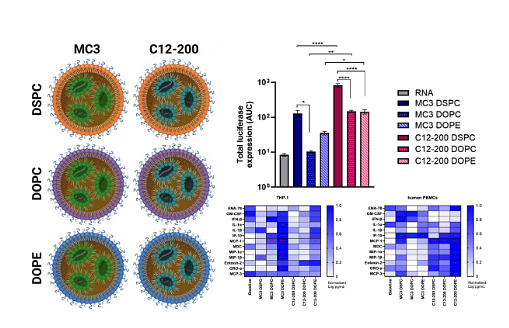 Graphical abstract for Nanoscale Biodegradable Printing for Designed Tuneability of Vaccine Delivery Kinetics