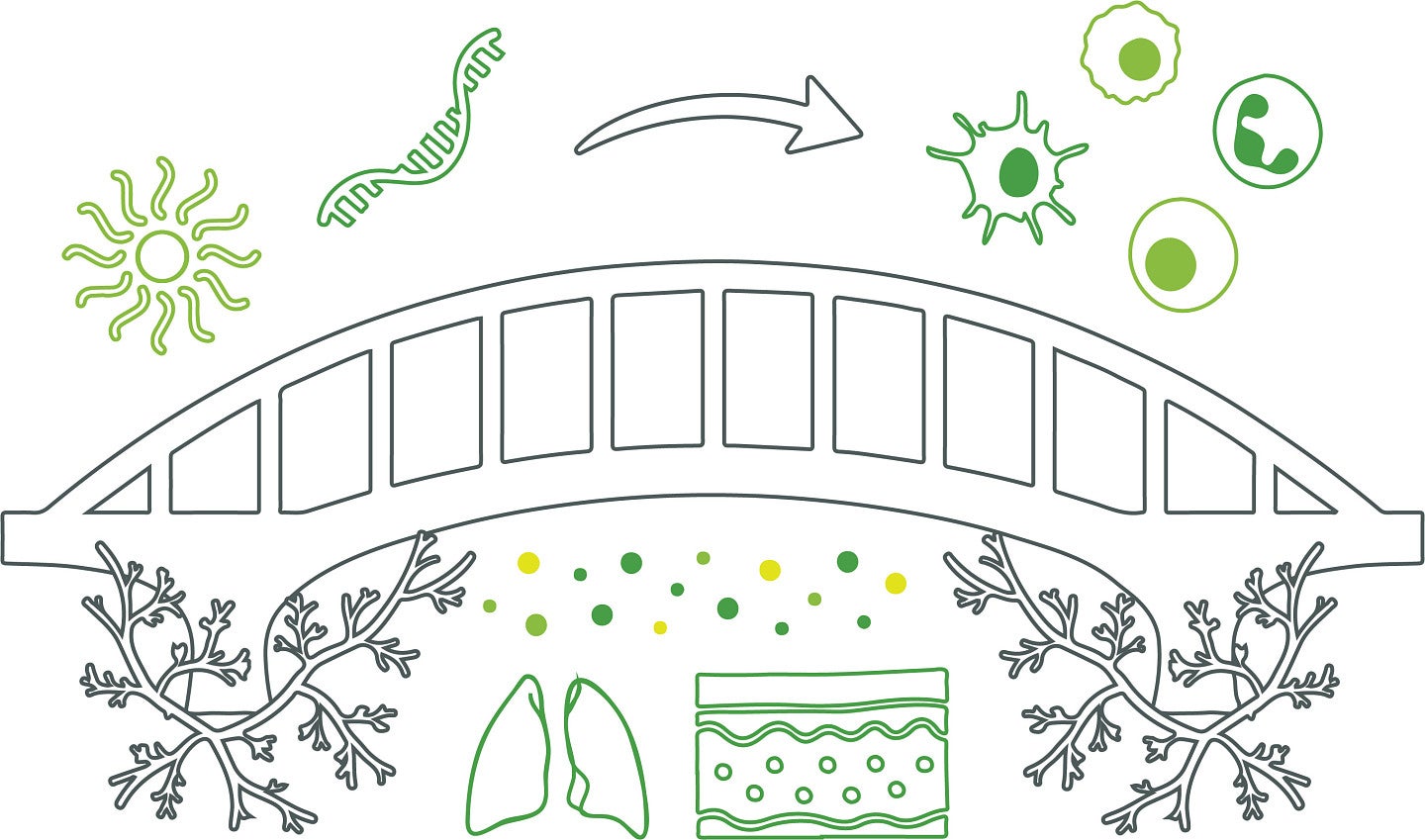 nanomaterials bridging to immune cells from the peeler lab