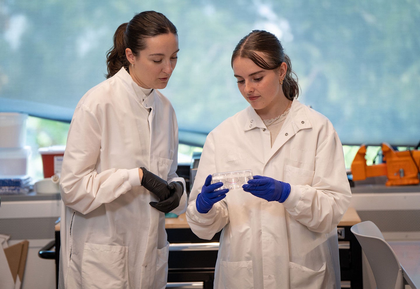 KCUS undergraduate with mentor in BioE lab