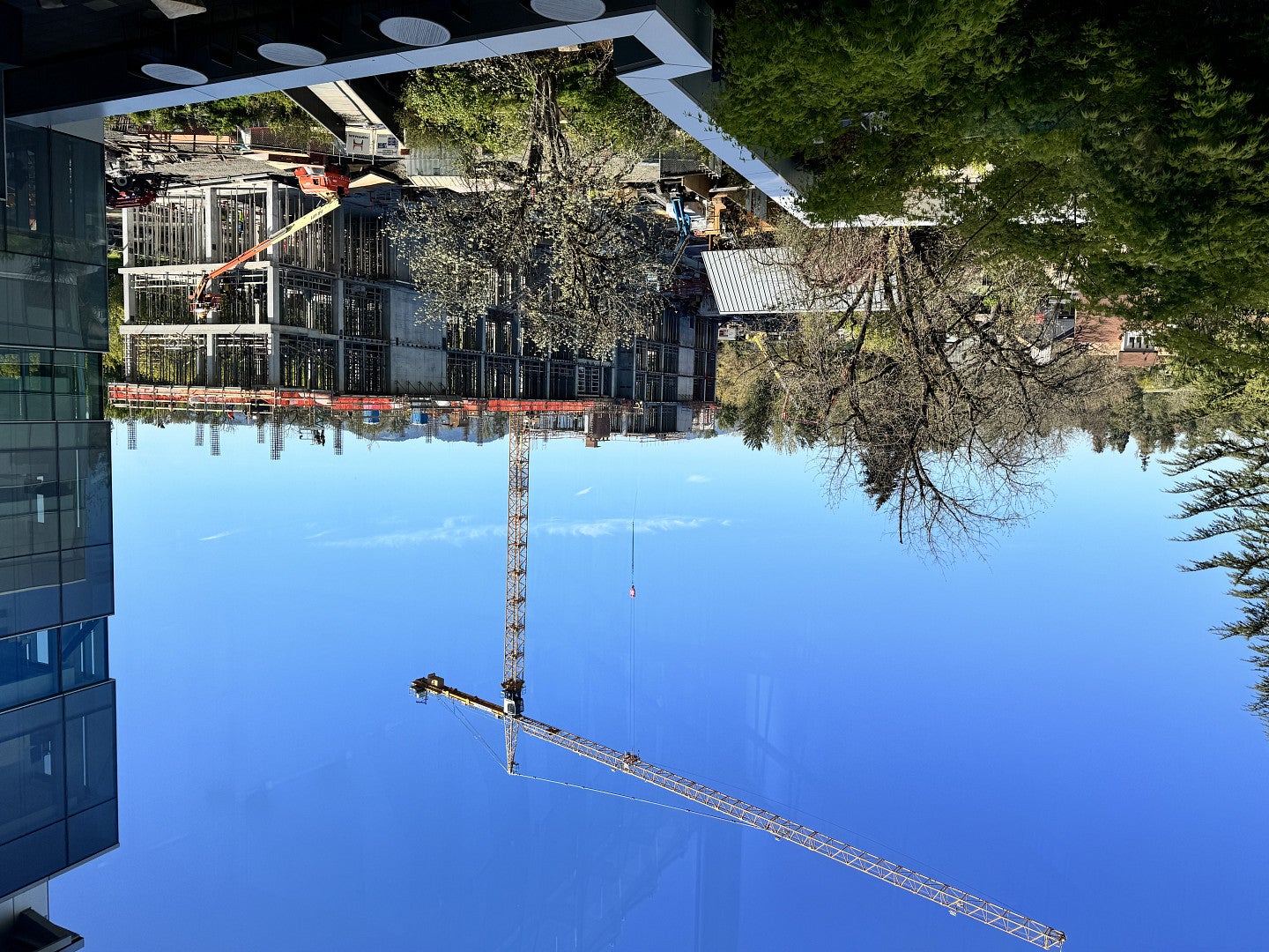 scaffolding of a building