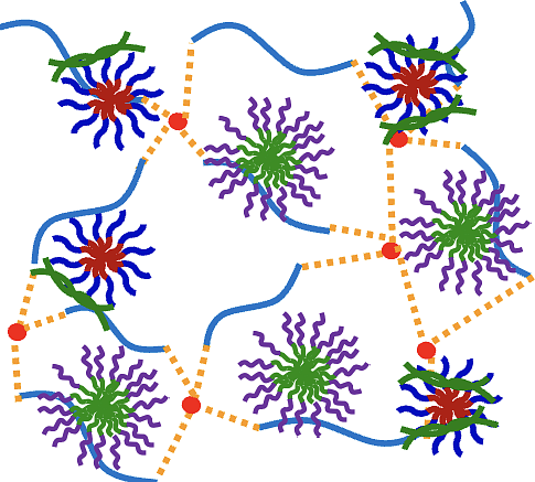 micelles and colorful dots and lines
