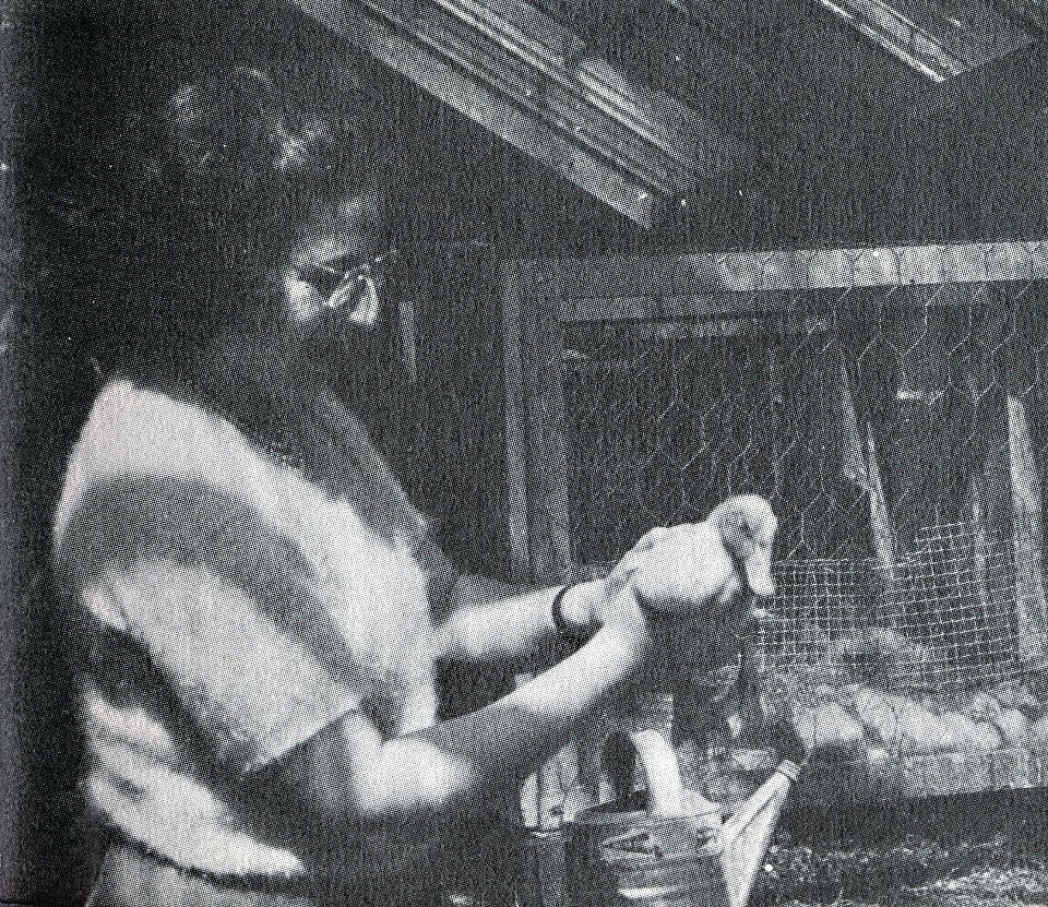 Hildegard