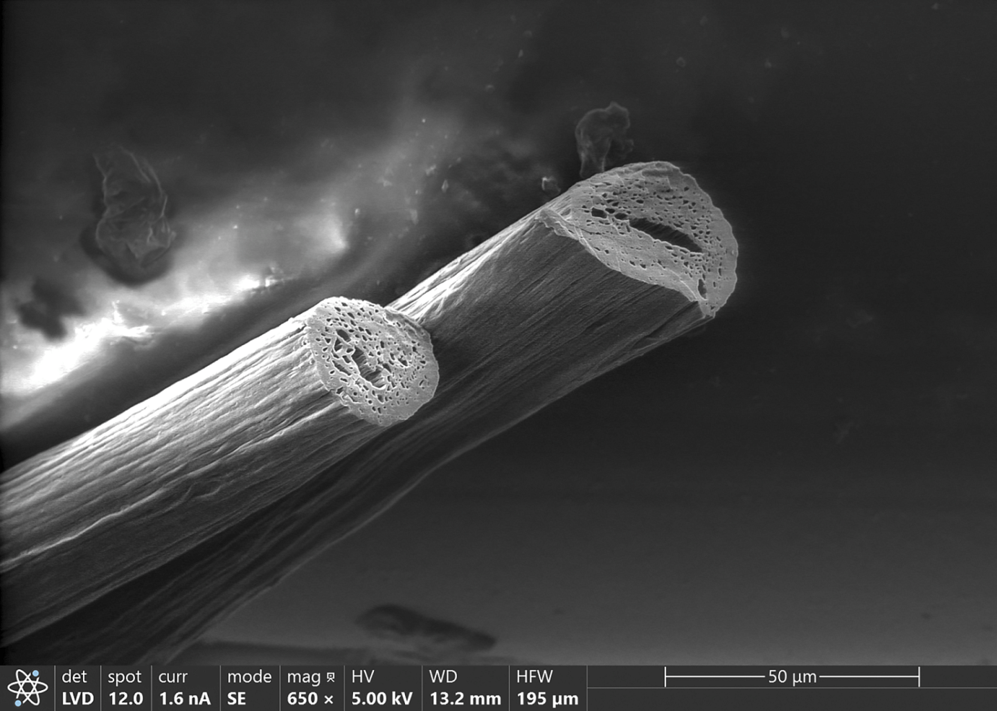 MEW Fibers from the Dalton lab