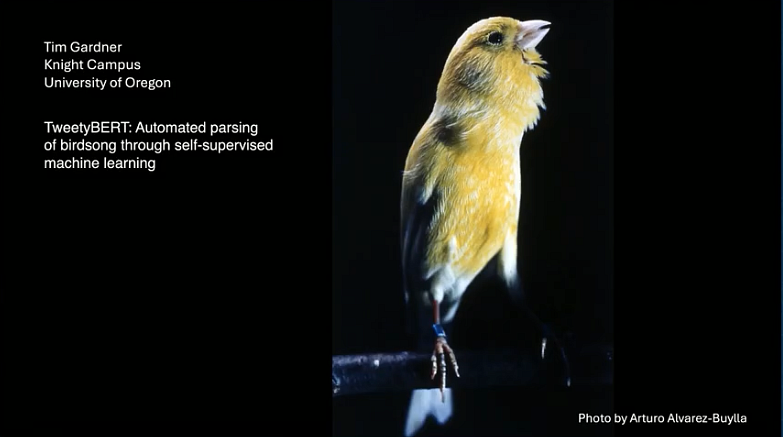 Title slide of Tim Gardner's talk about TweetyBert