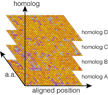 ​Broad Mutational Scanning in the Plesa Lab