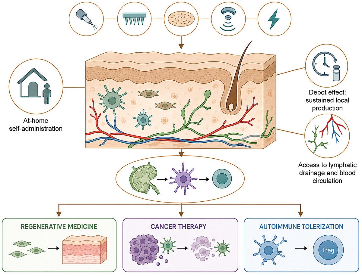 Graphic from Nanomedicine publication