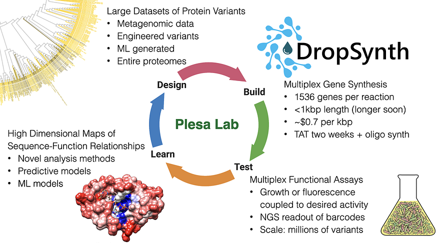 Overview of the Plesa Lab