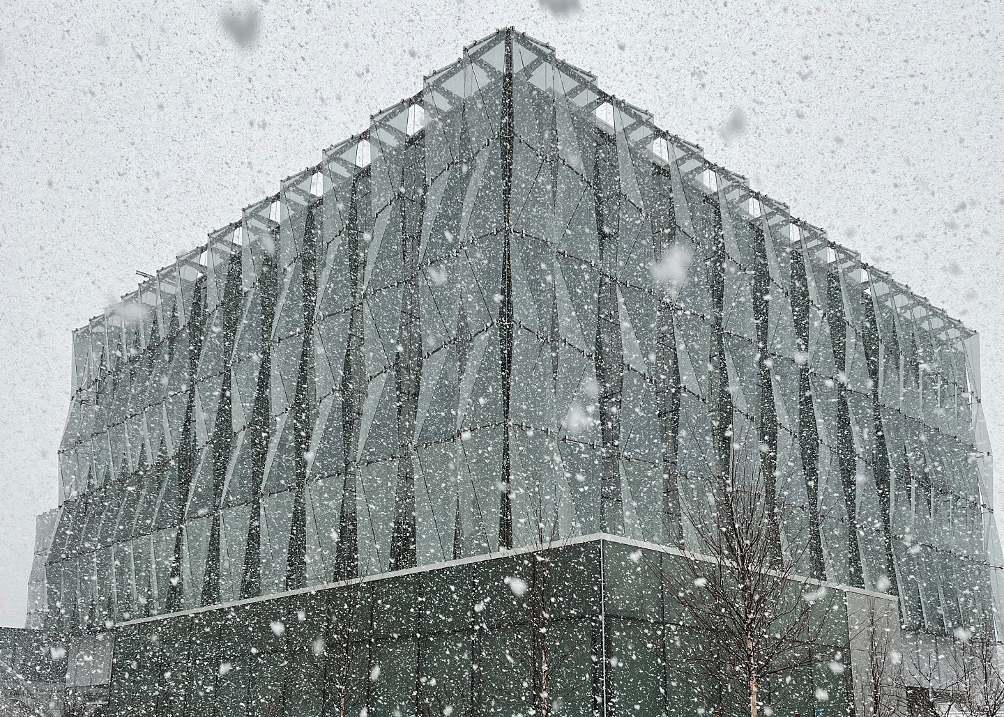 Knight Campus in snow