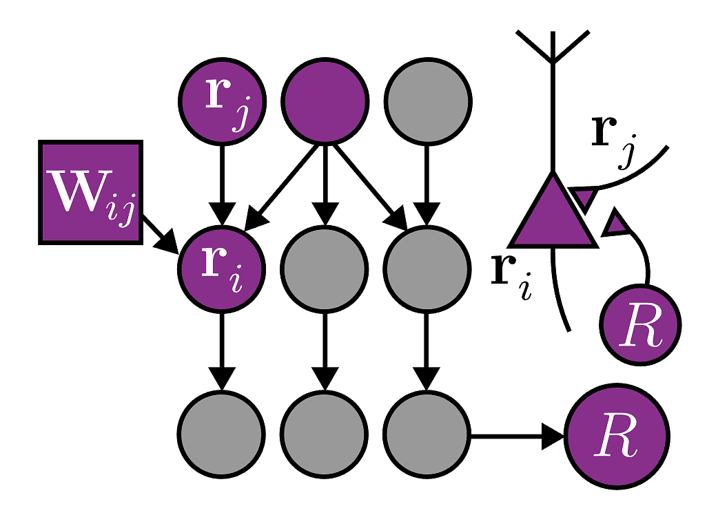 Scientific Figure