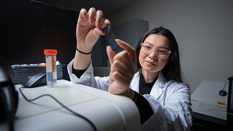 Bioinformatics student in lab