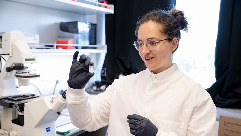 Graduate student, Rose Hulsey-Vincent, at the microscope looking at a slide, in a white lab coat and gloves
