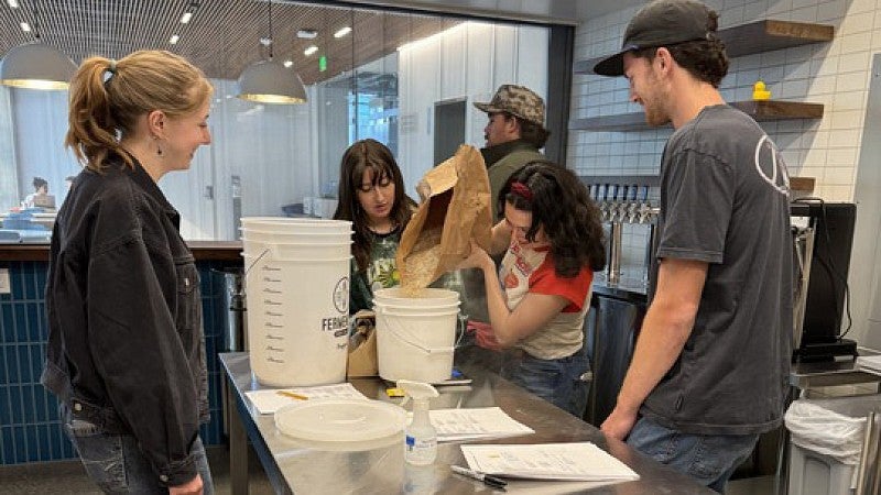 Berliner Spring 2025