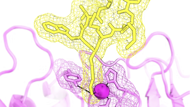 yellow and magenta molecules with haze around them