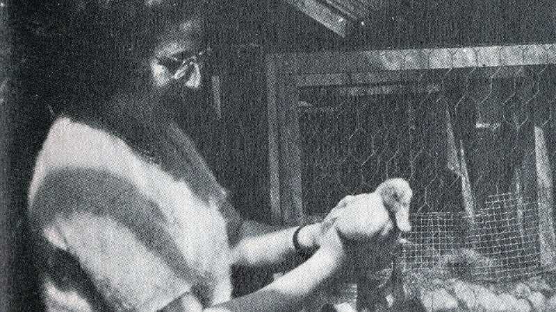 Hildegard