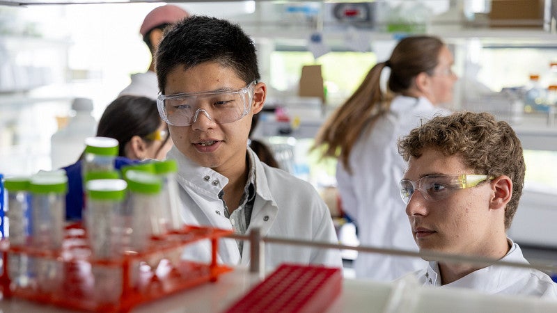 students working together at the bench