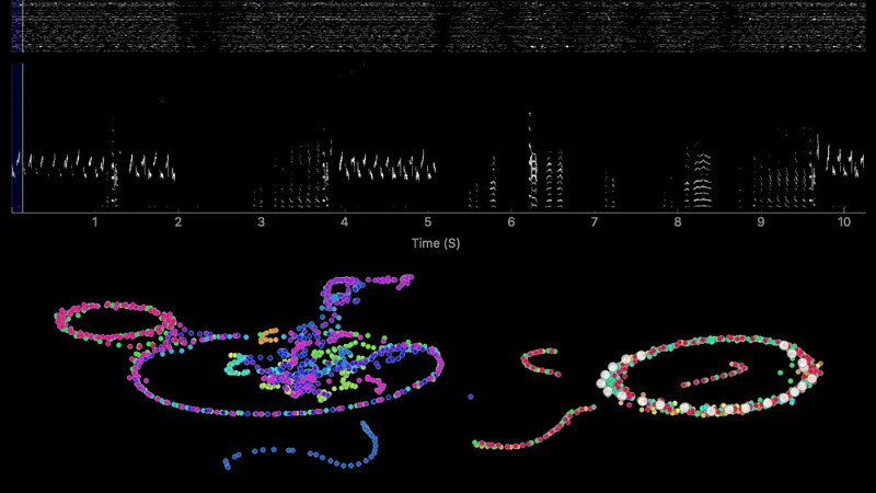 Machine learning for canary songs in the Gardner Lab