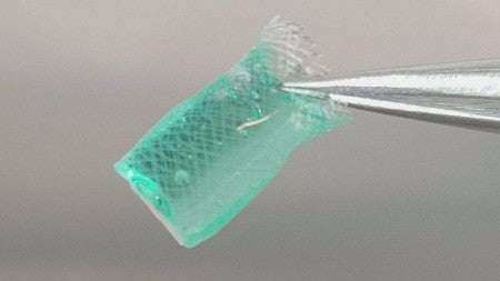 Hydrogel inside polycaprolactone mesh tube (Image taken by Veronica Spaulding)