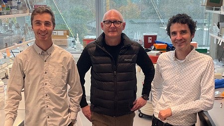 Three people in a lab with street clothes