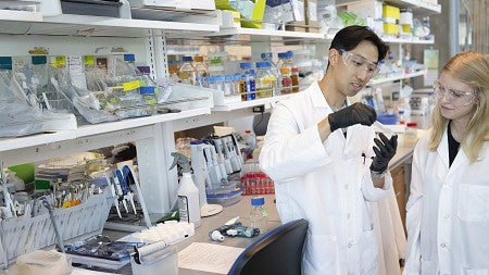Bioengineering students in lab