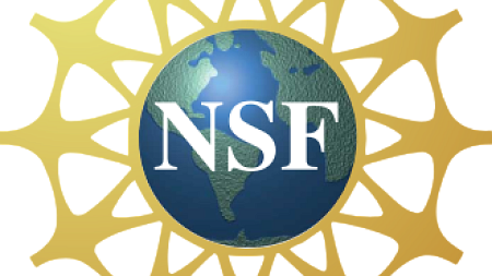 NSF logo - a blue and green earth, with a yellow arc around the outside, with white text that says NSF