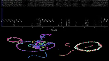 Machine learning for canary songs in the Gardner Lab