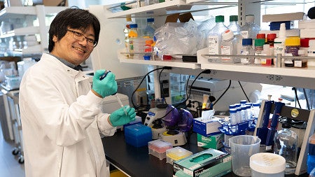 Hiro Ambati Lab