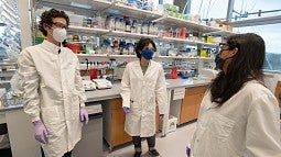 researchers in the lab