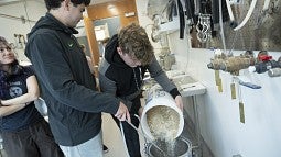 Brewing Innovation students