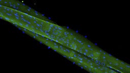 BioE Annual Report 2025