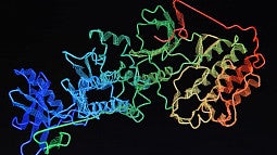 rainbow protein structure on a black background