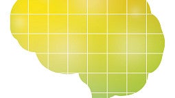 green and yellow brain with a white grid on it