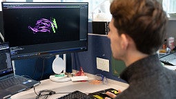 Student working at a computer