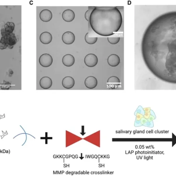 figure 1 for nature paper of the benoit lab