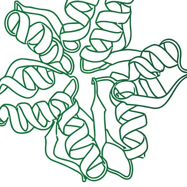 protein structure, in green, with text that reads 'Hosseinzadeh Lab' and 'Protein Benders'