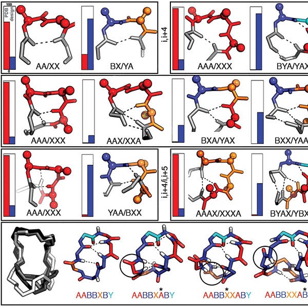 Comprehensive computational design of ordered peptide macrocycles