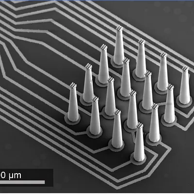 Polymer electrodes from the Gardner Lab